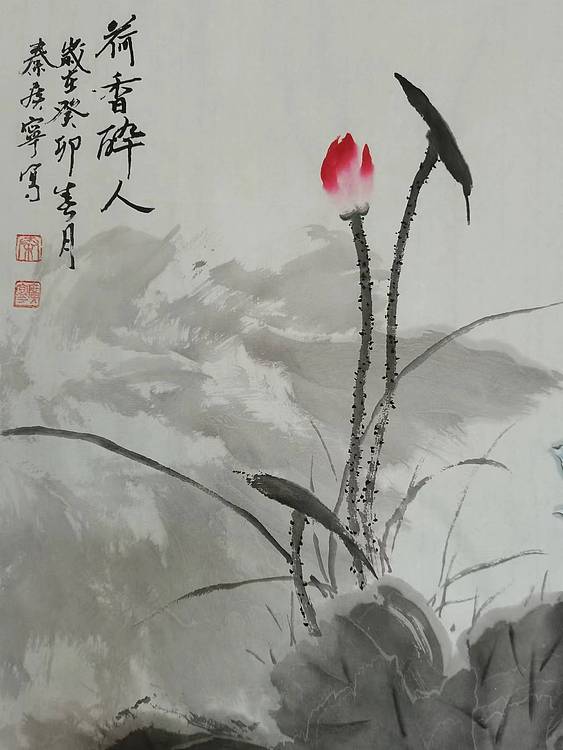 秦广宁 荷香醉人