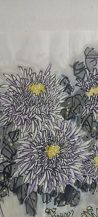 周基伟 瓶菊