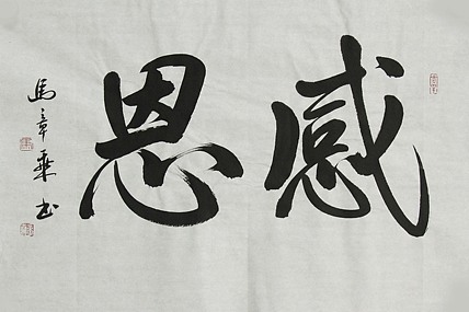 中国书法家协会会员 北京画院特聘书法家 马章乘