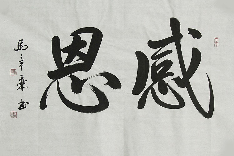 中国书法家协会会员 北京画院特聘书法家 马章乘