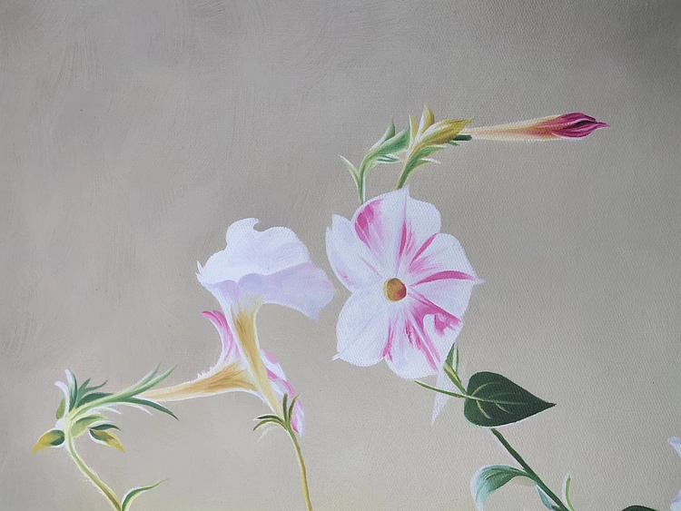 刘益芬 写实花