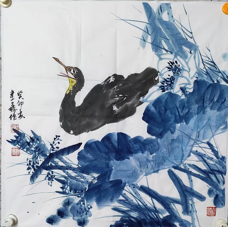 王建鑫 畅游