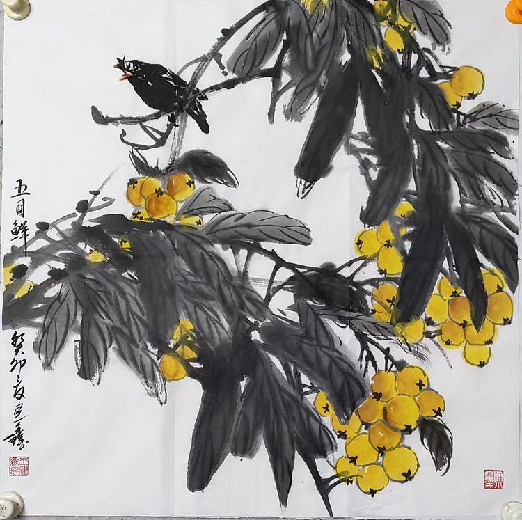 王建鑫 五月鲜