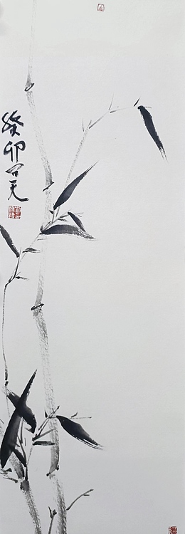 刘钟杨 竹子