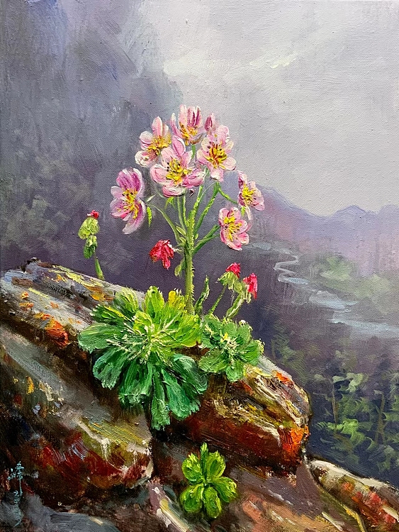 梁峰 山间花开