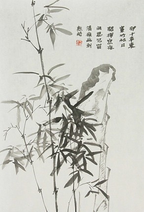青年潜力 美女艺术家 卢小琴