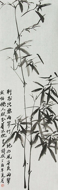 青年潜力 美女艺术家 卢小琴