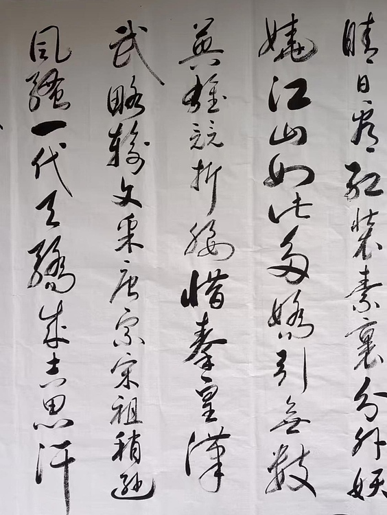云海松涛 行草书沁园春雪