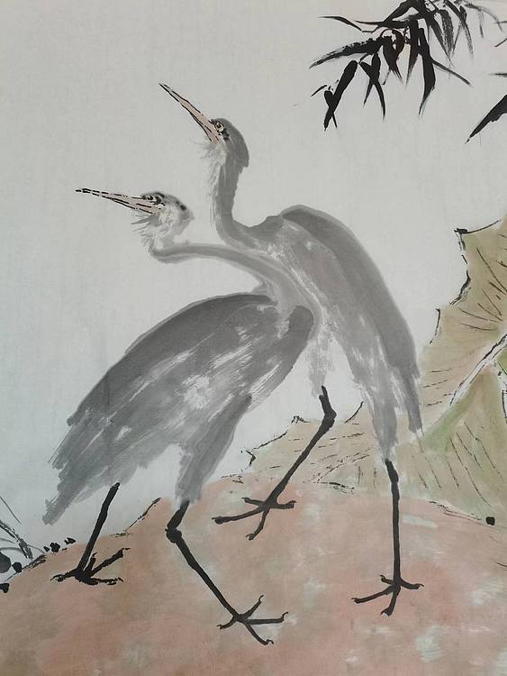 秦广宁 ，，，