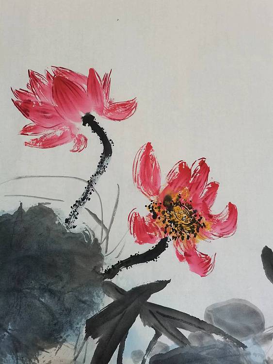 秦广宁 ，，，