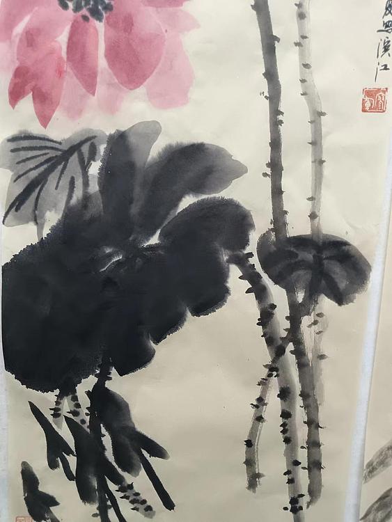 文化老兵 映日荷花