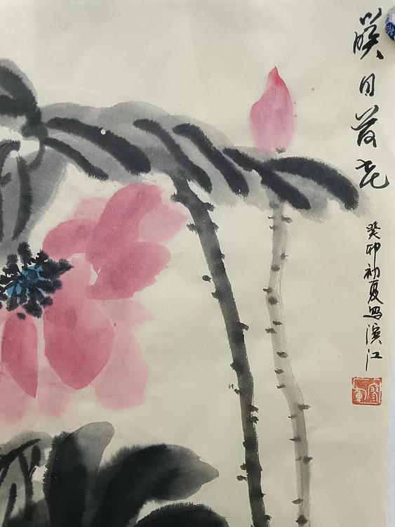 文化老兵 映日荷花
