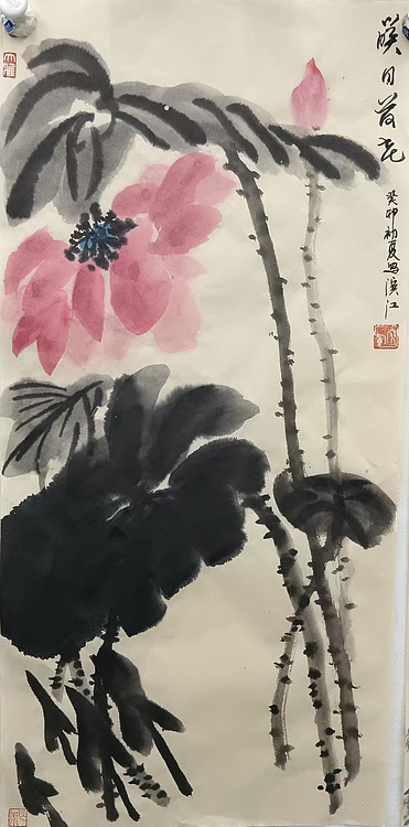 文化老兵 映日荷花