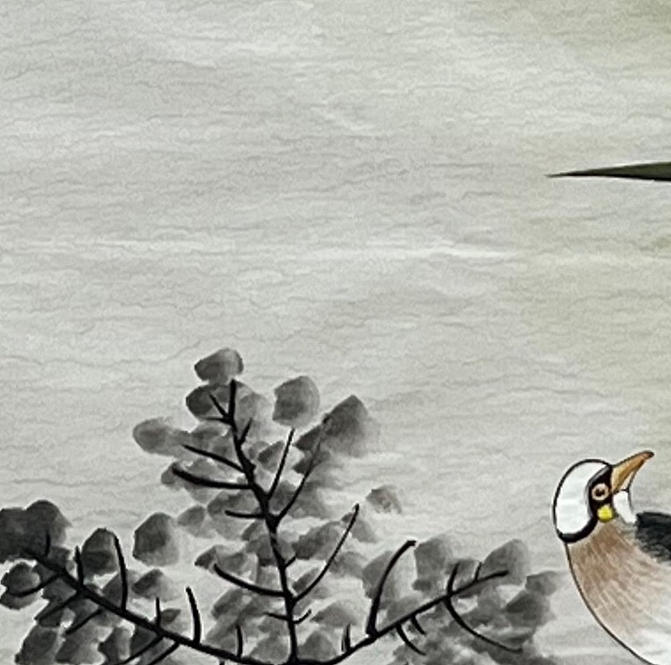 艾雯 池边野趣