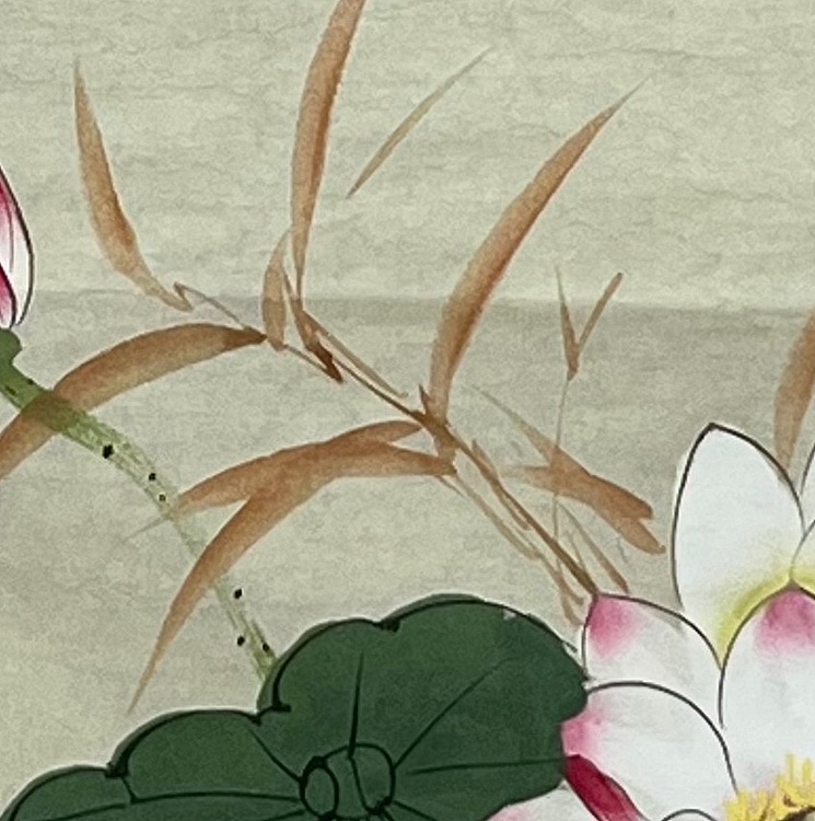 艾雯 夏荷
