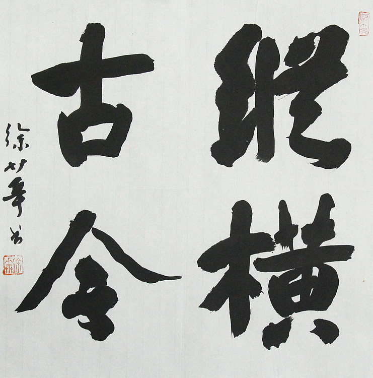 名家，博士，教授 ，中国美协会员 徐华