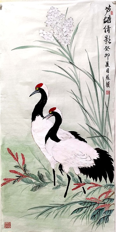 苏颖 芦塘倩影239