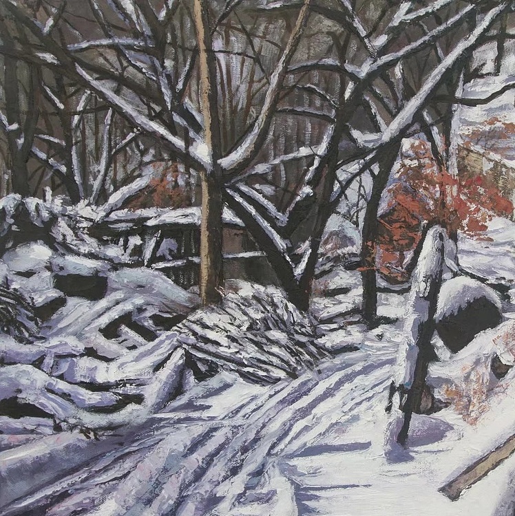徐风华 核伙沟雪景系列之六