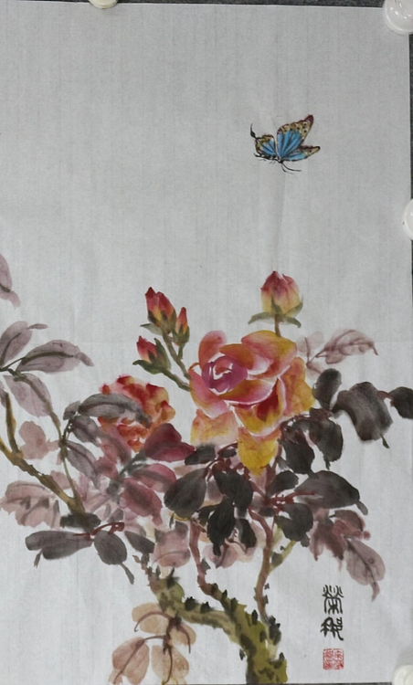 来荣娜 月季花