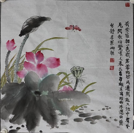 来荣娜 荷花