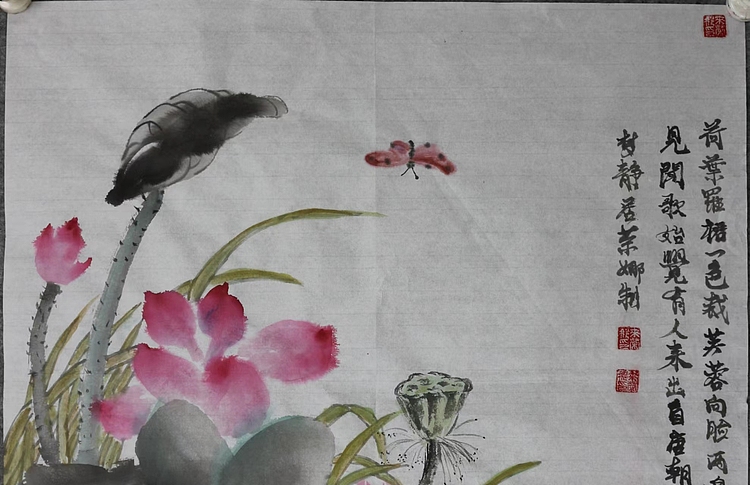 来荣娜 荷花