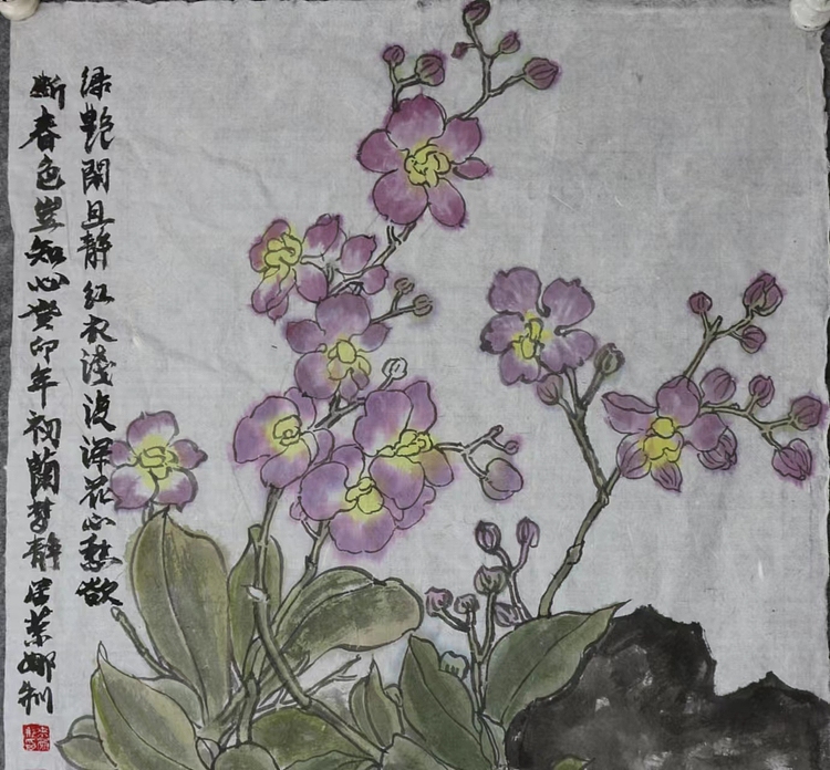 来荣娜 蝴蝶兰