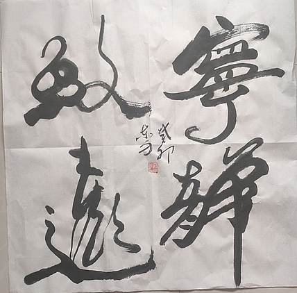 赵东方 宁静致远