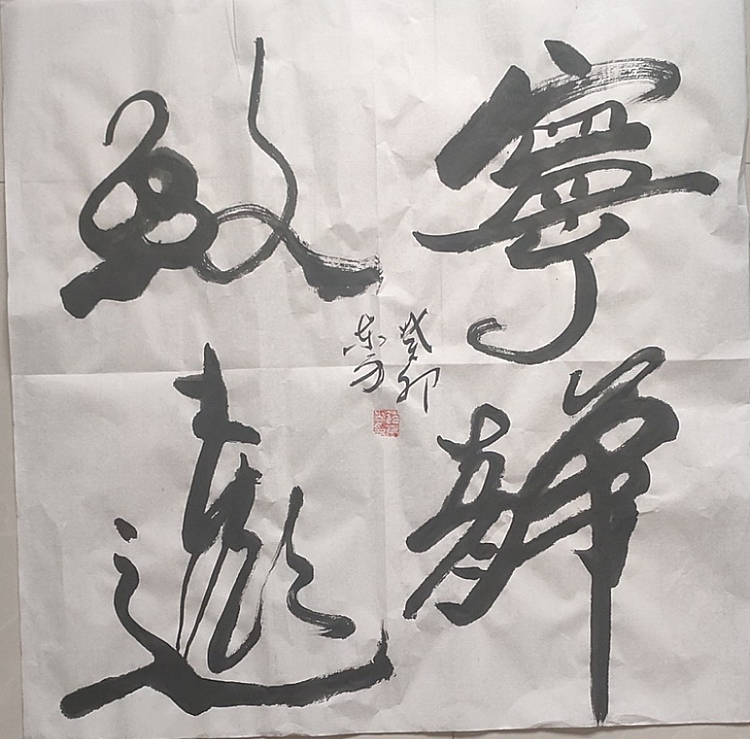 赵东方 宁静致远