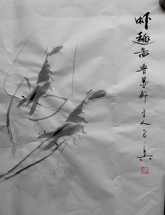 静心虾屋主人 中国书画家协会会员司卫兵【虾趣图】