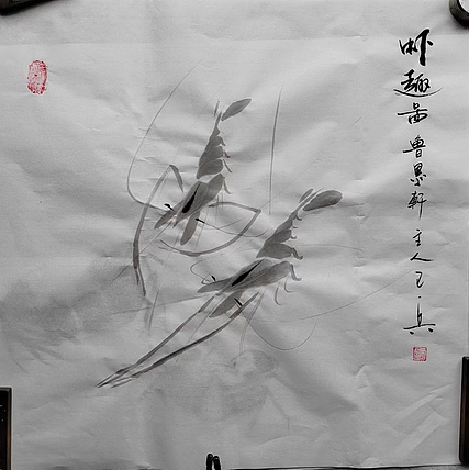 静心虾屋主人 中国书画家协会会员司卫兵【虾趣图】