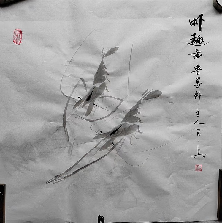 静心虾屋主人 中国书画家协会会员司卫兵【虾趣图】