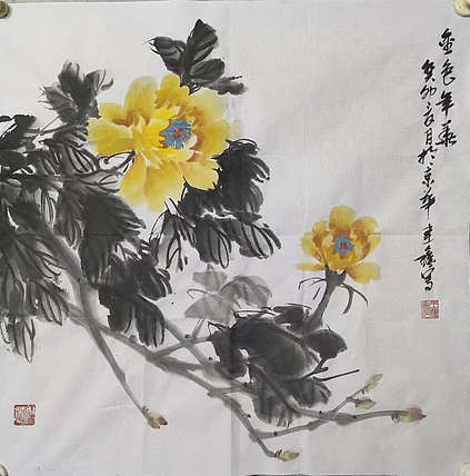 王建鑫 金色年华