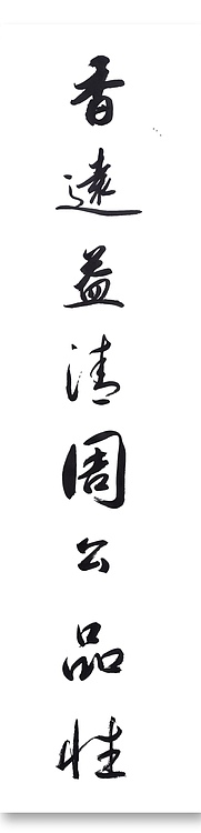 云海松涛 爱莲说 中堂