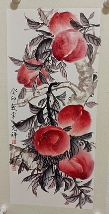 翱翔 仙桃
