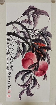 翱翔 谣池仙桃
