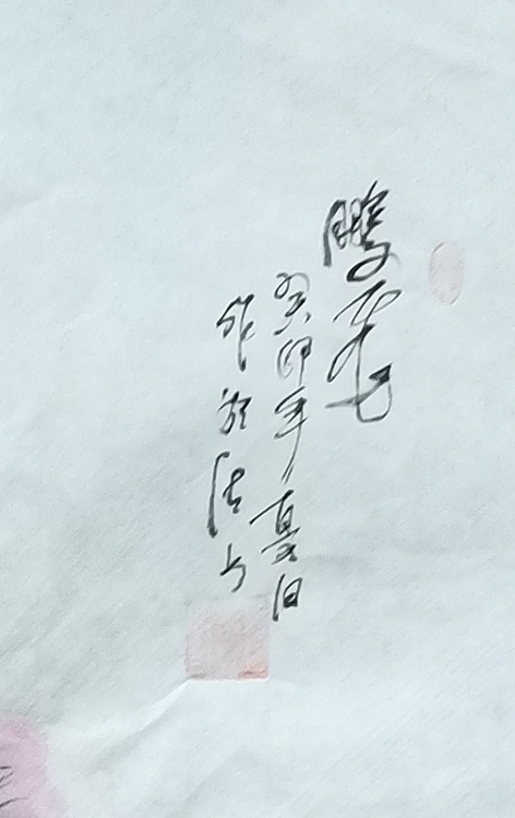 职业书画家 羽翔 吉祥