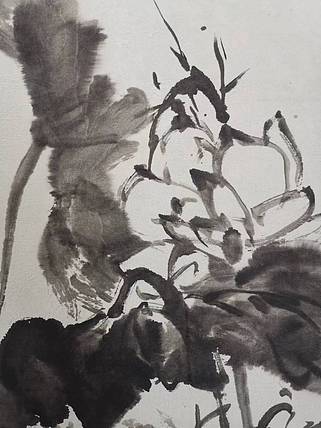 无 水墨荷花