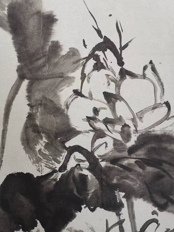 无 水墨荷花