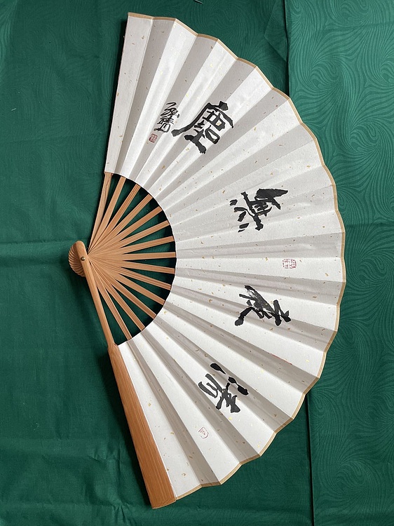 中国书画收藏家协会会员 泓靖 折扇成扇