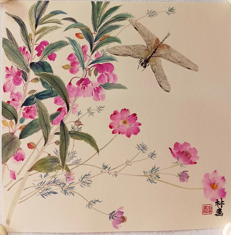 湖北美术学院艺术硕士 李林 蜻蜓指甲花草虫工笔