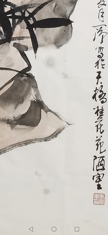 一淨 草聖書蕉圖