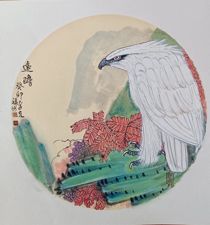 翱翔 远瞻