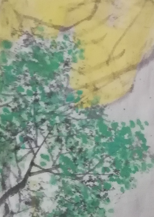 冯永强 清音