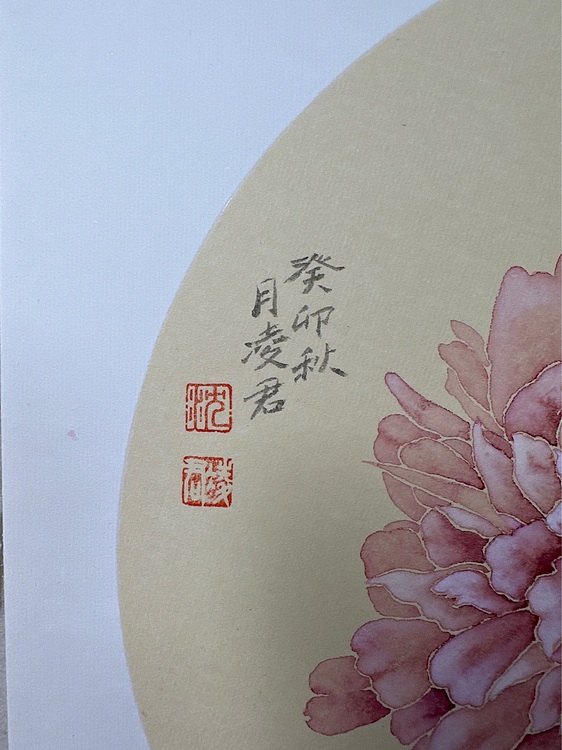 沈凌君 芍药花