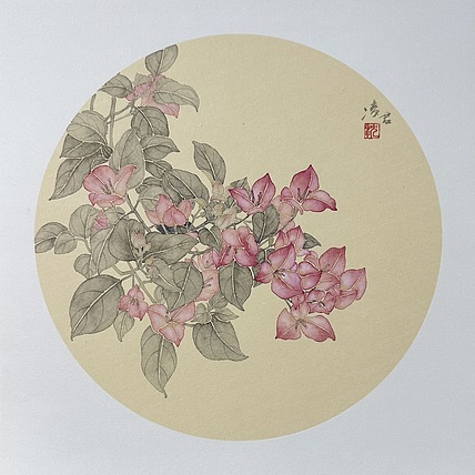 沈凌君 三角梅