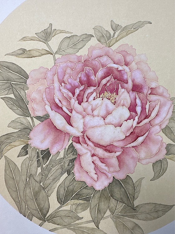 沈凌君 牡丹花