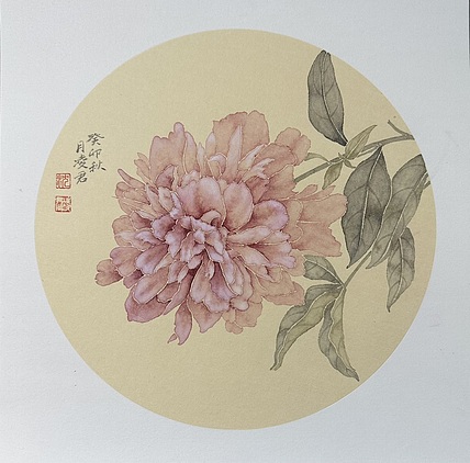 沈凌君 芍药花