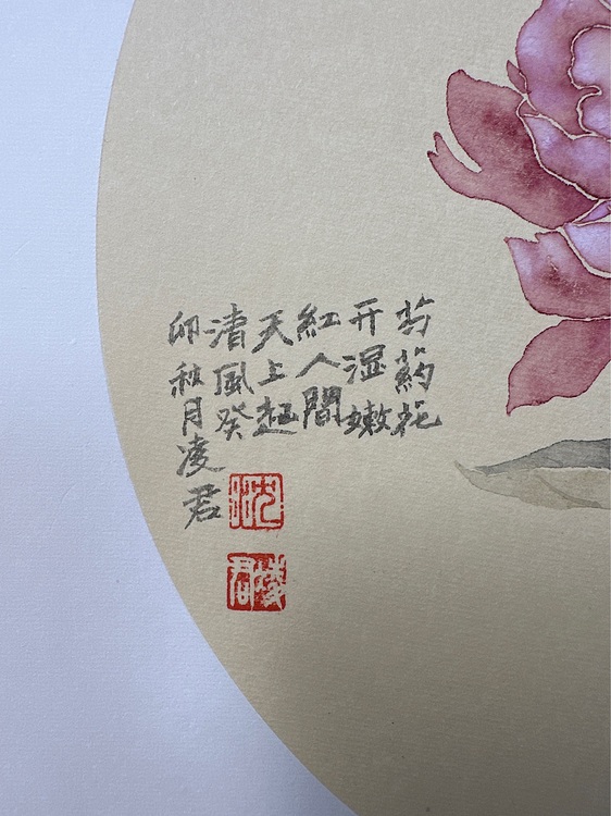 沈凌君 芍药花
