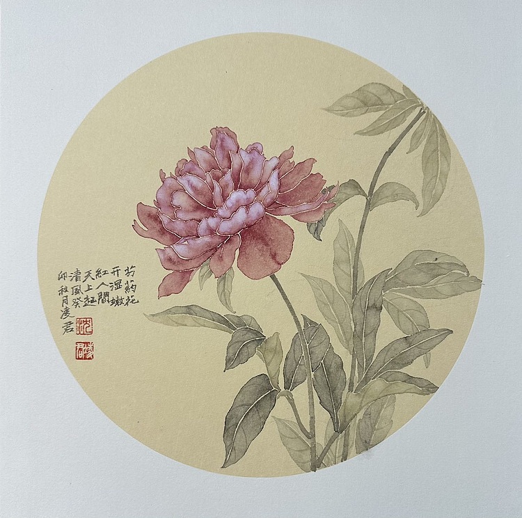 沈凌君 芍药花