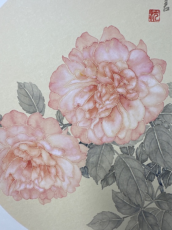 沈凌君 月季